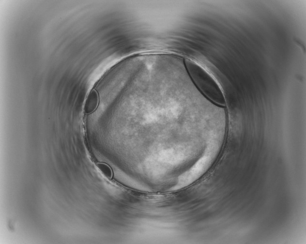 X0000102501485200808291701