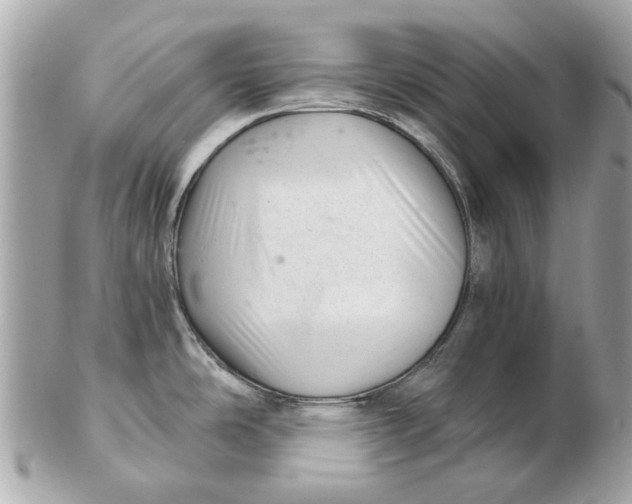 X0000102501486200808291701