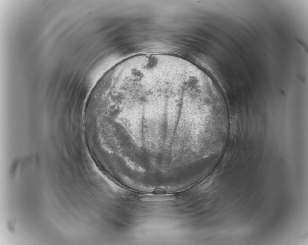 X0000102501487200808291701