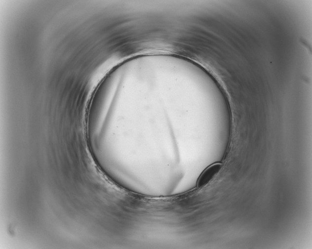 X0000102501488200808291701