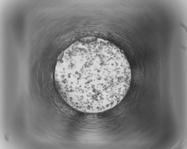 X0000102501489200808291700