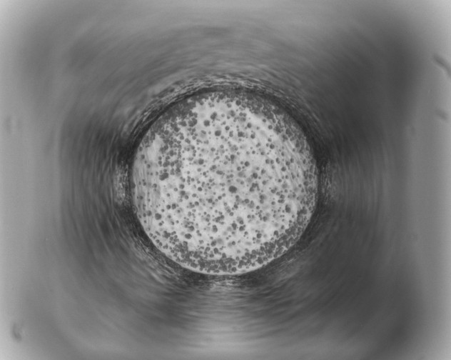 X0000102501490200808291700