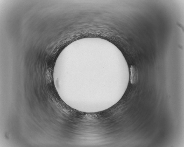 X0000102501491200808291700