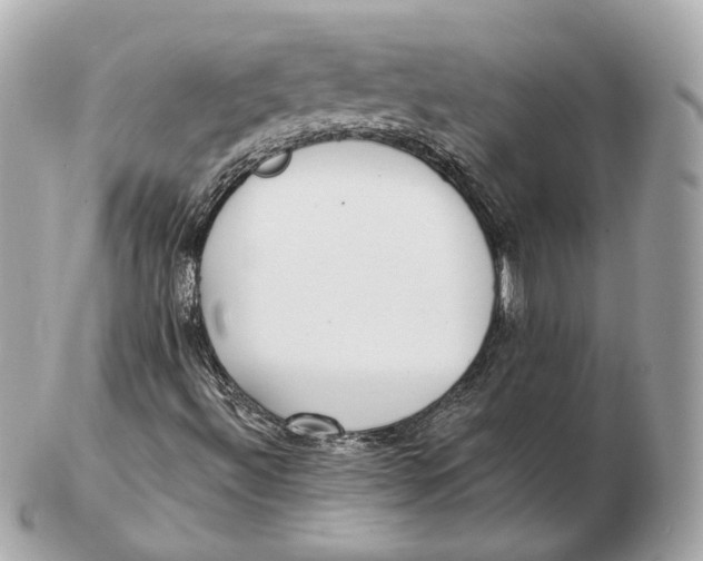 X0000102501492200808291700