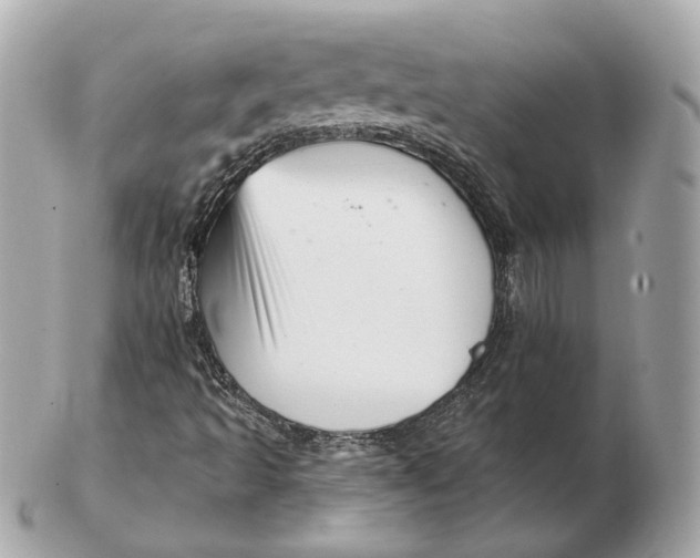 X0000102501493200808291700