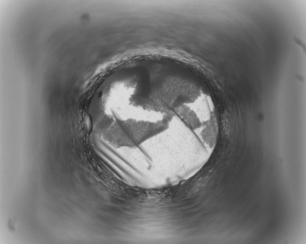 X0000102501494200808291700