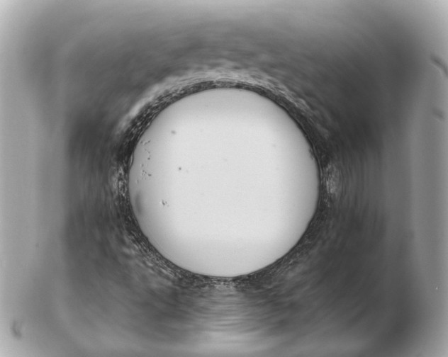 X0000102501495200808291700