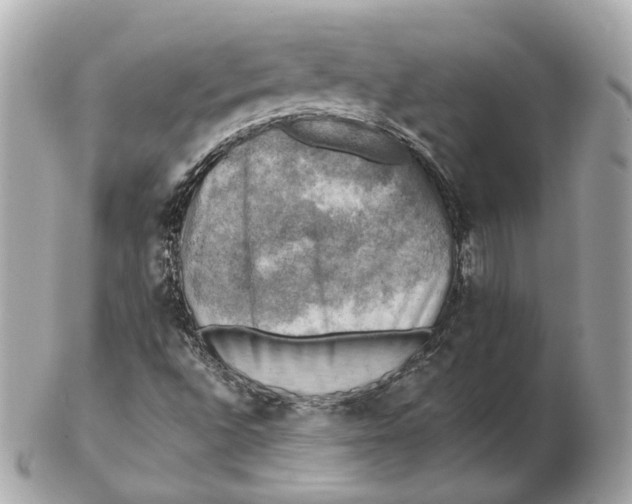 X0000102501496200808291700