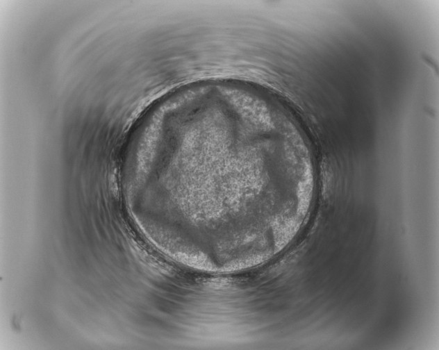 X0000102501497200808291700