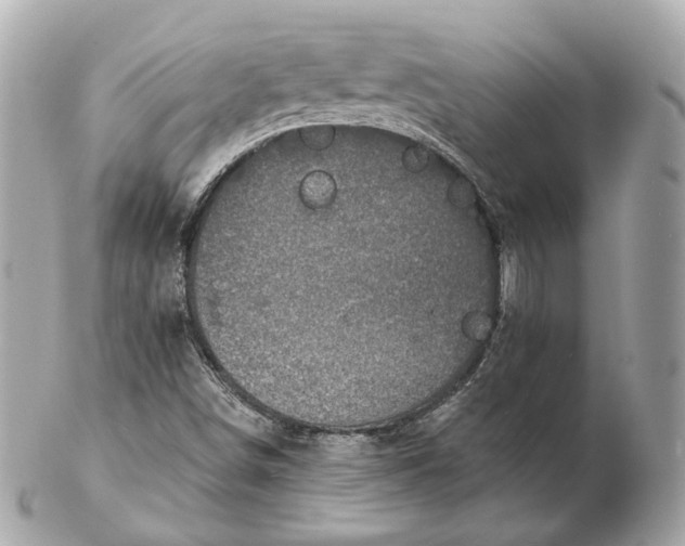 X0000102501498200808291700