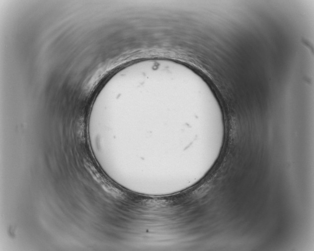 X0000102501499200808291700