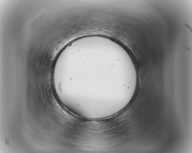 X0000102501500200808291700