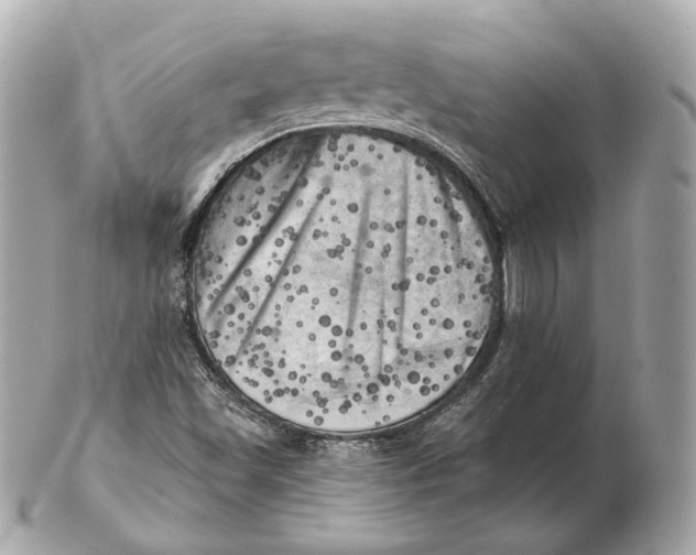 X0000102501501200808291700