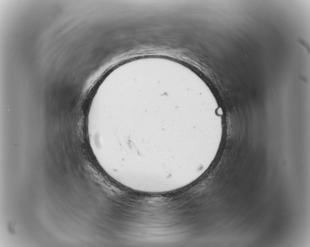 X0000102501502200808291700