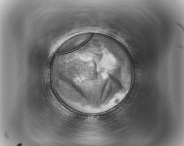 X0000102501504200808291700