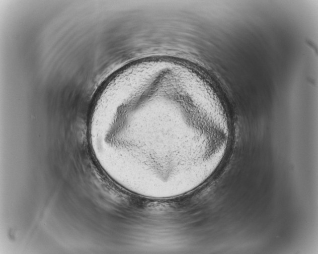 X0000102501505200808291700