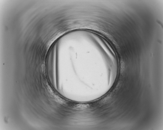 X0000102501513200808291700