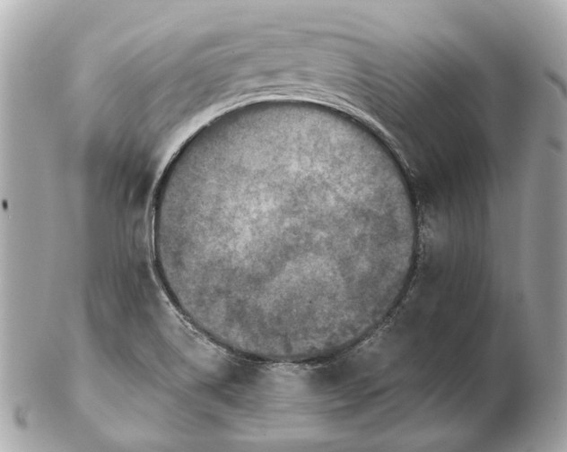 X0000102501514200808291700