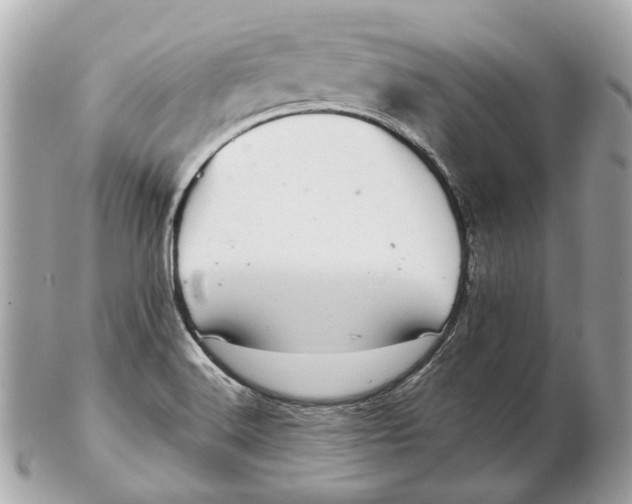 X0000102501516200808291700