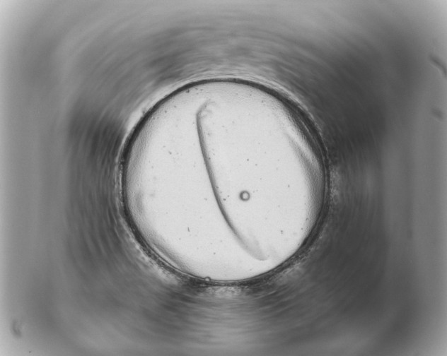 X0000102501517200808291700