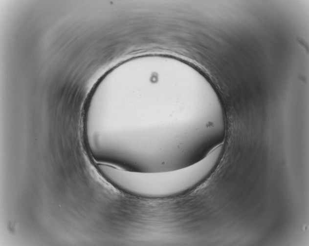 X0000102501518200808291700