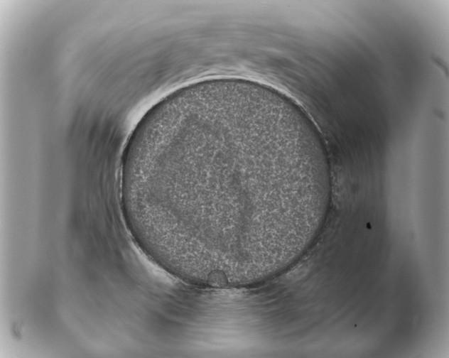 X0000102501519200808291700