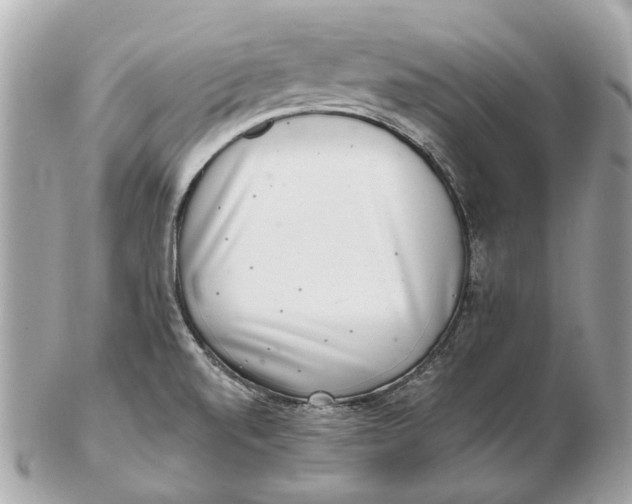 X0000102501520200808291700