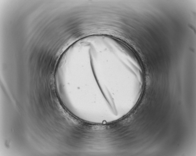 X0000102501521200808291700