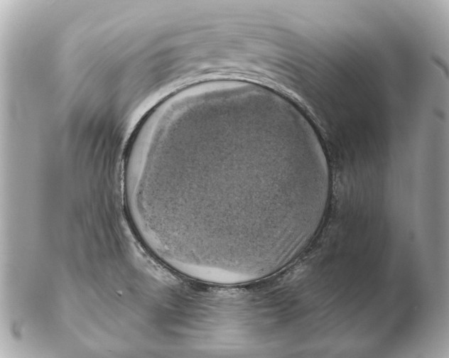 X0000102501522200808291700