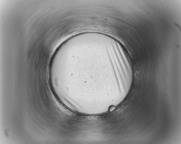 X0000102501523200808291700