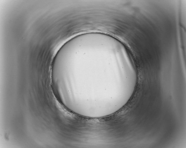 X0000102501524200808291700