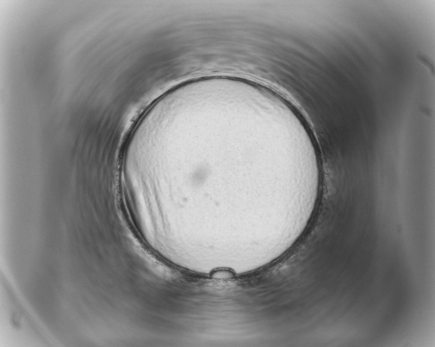 X0000102501525200808291700