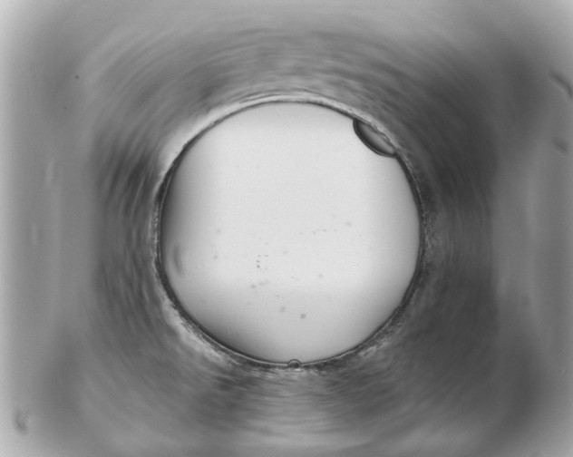 X0000102501526200808291700