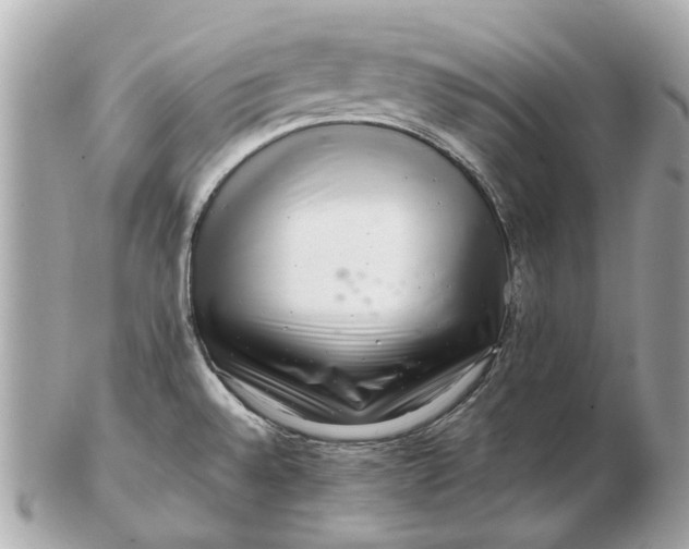 X0000102501528200808291700