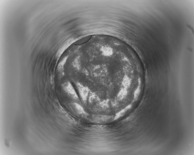 X0000102501529200808291700