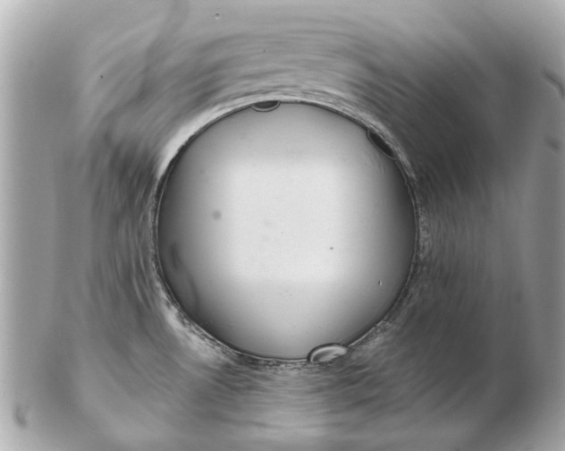 X0000102501530200808291700