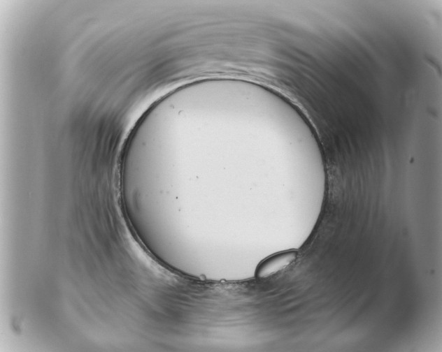 X0000102501531200808291701