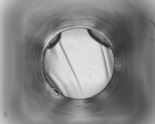 X0000102501532200808291701