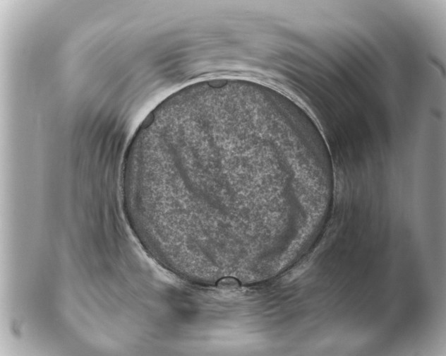 X0000102501533200808291701