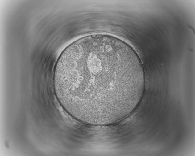 X0000102501534200808291701