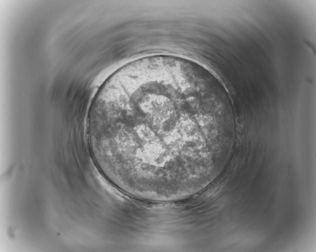 X0000102501535200808291701