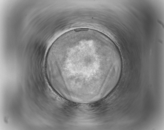 X0000102501536200808291701