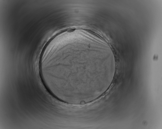 X0000102500002200809051357