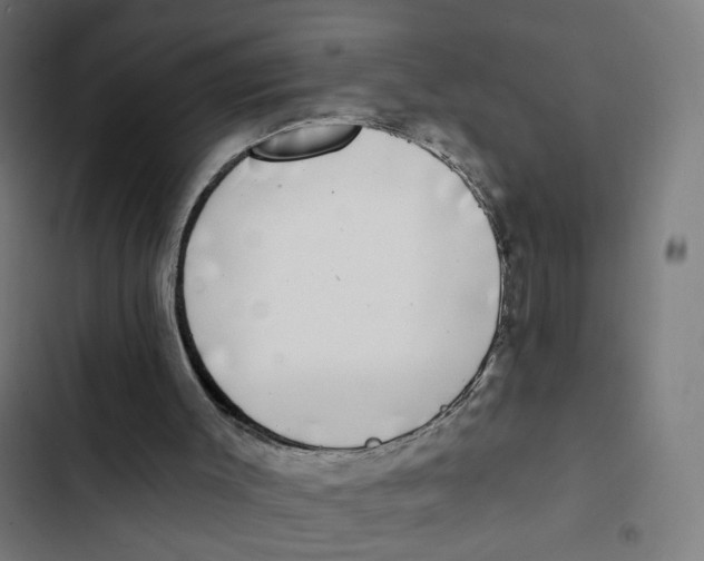 X0000102500003200809051357