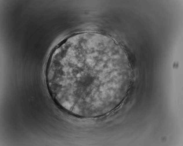 X0000102500004200809051357