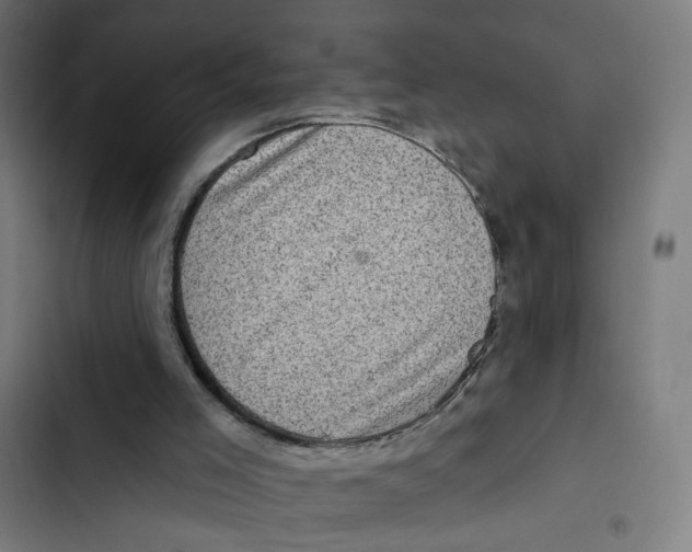 X0000102500005200809051357