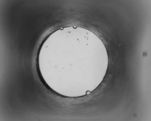 X0000102500007200809051357