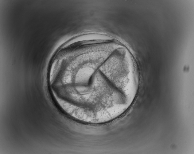 X0000102500008200809051357