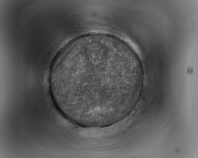 X0000102500009200809051357