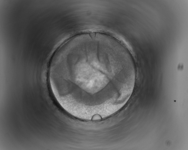 X0000102500010200809051357